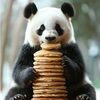 pancakepanda